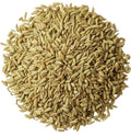 Fenouil